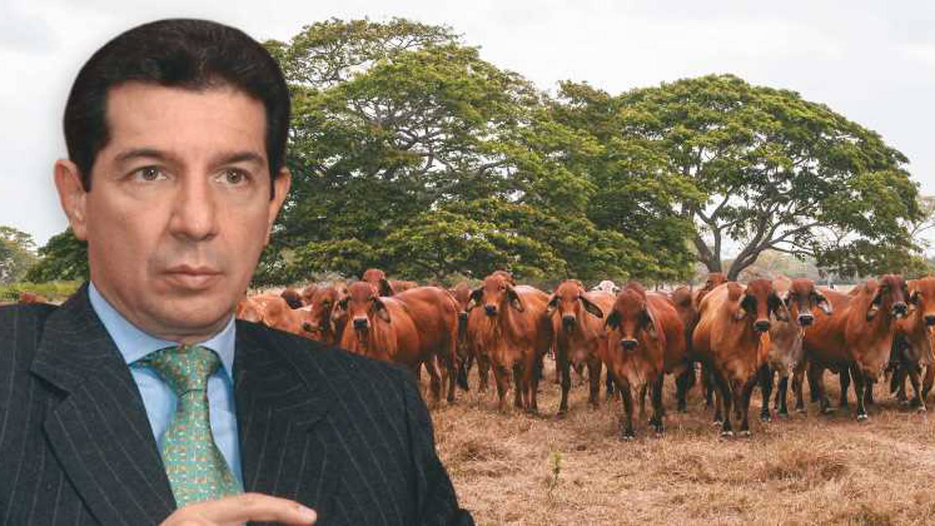 «La ganadería también puede ser sostenible y el narcotráfico es el real culpable de la deforestación»: José Félix Lafaurie