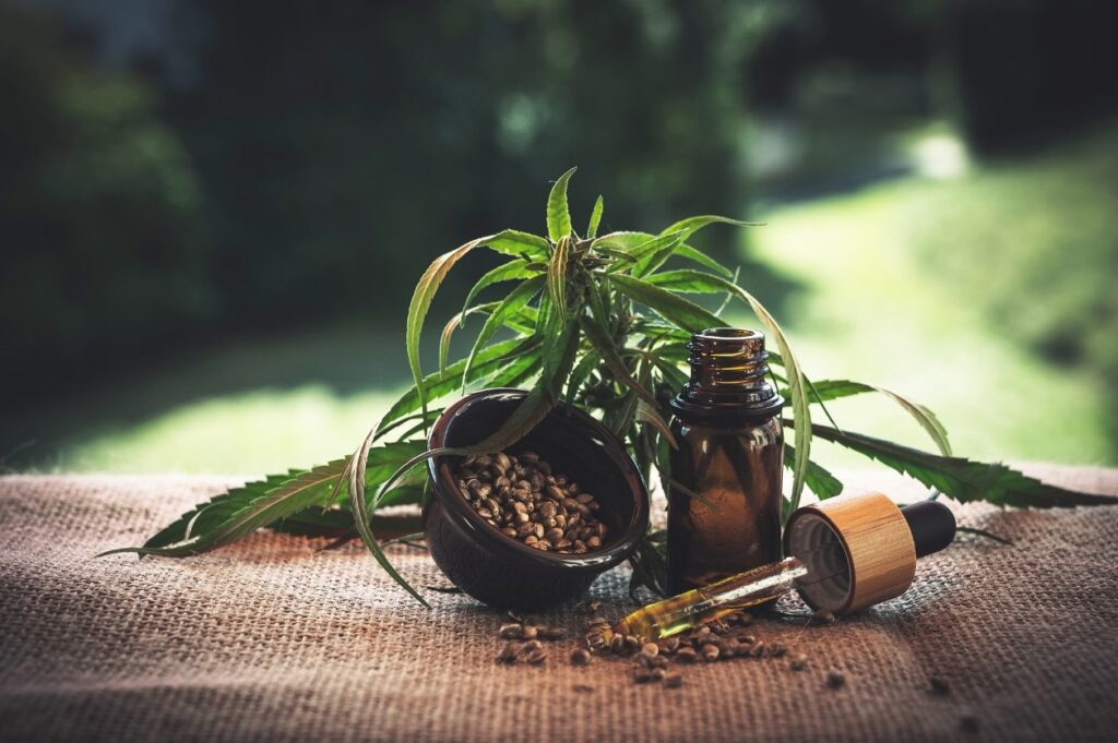 ¿Qué beneficios brinda el CBD en la salud y por qué es tan popular?