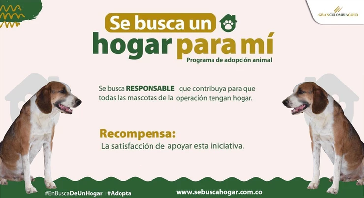 “Se Busca Hogar” La estrategia para adopción de animales de la empresa Gran Colombia Gold