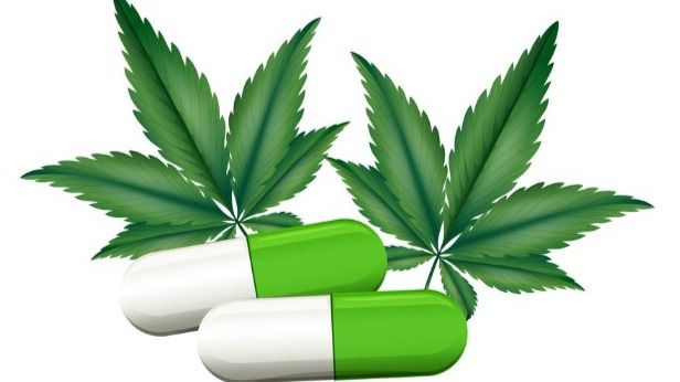 Beneficios que le da la marihuana al cuerpo humano