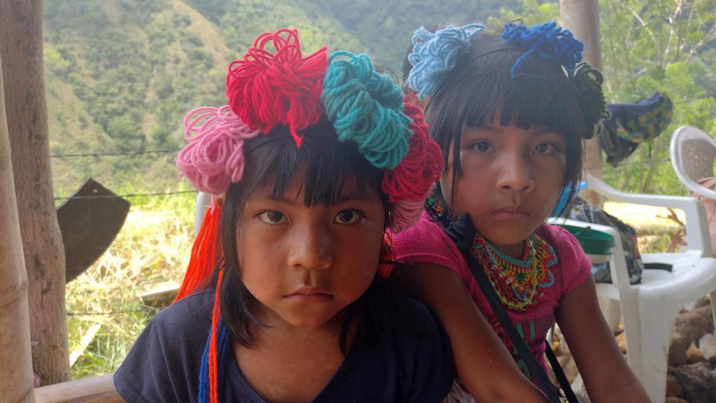 Crisis educativa en resguardos indígenas colombianos: comunidades en huelga por mal estado de escuelas y falta de inversión del Gobierno