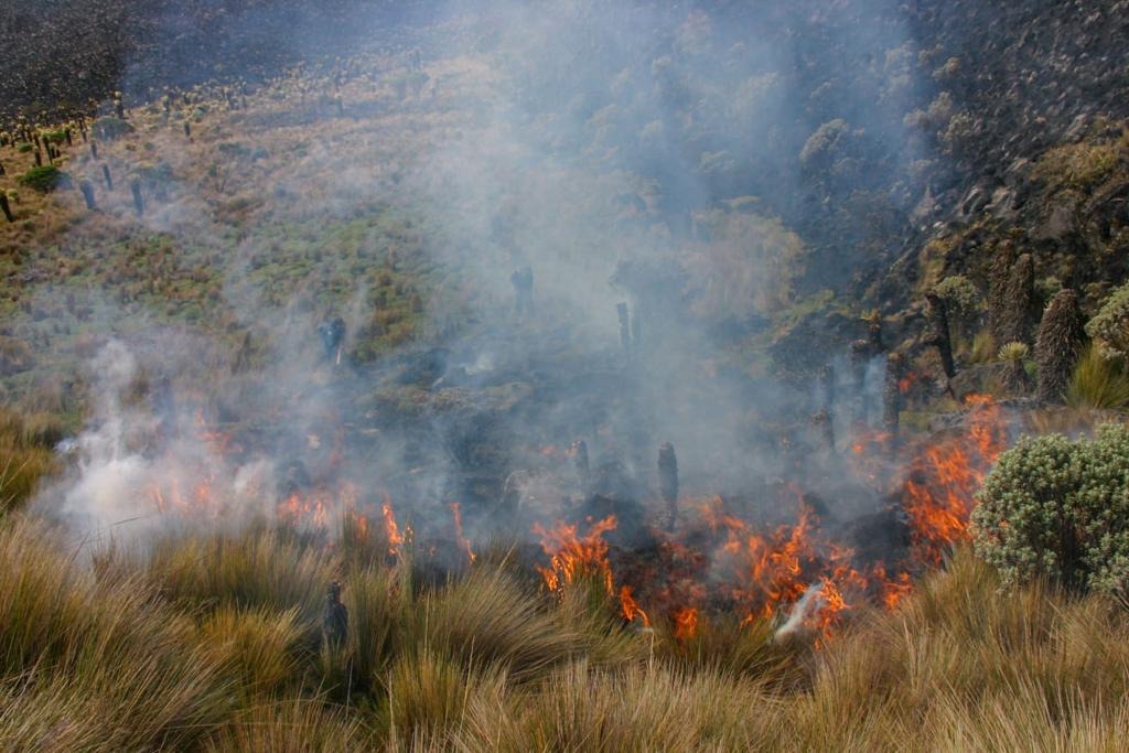 El 98% de los incendios en Manizales son causados por quemas forestales