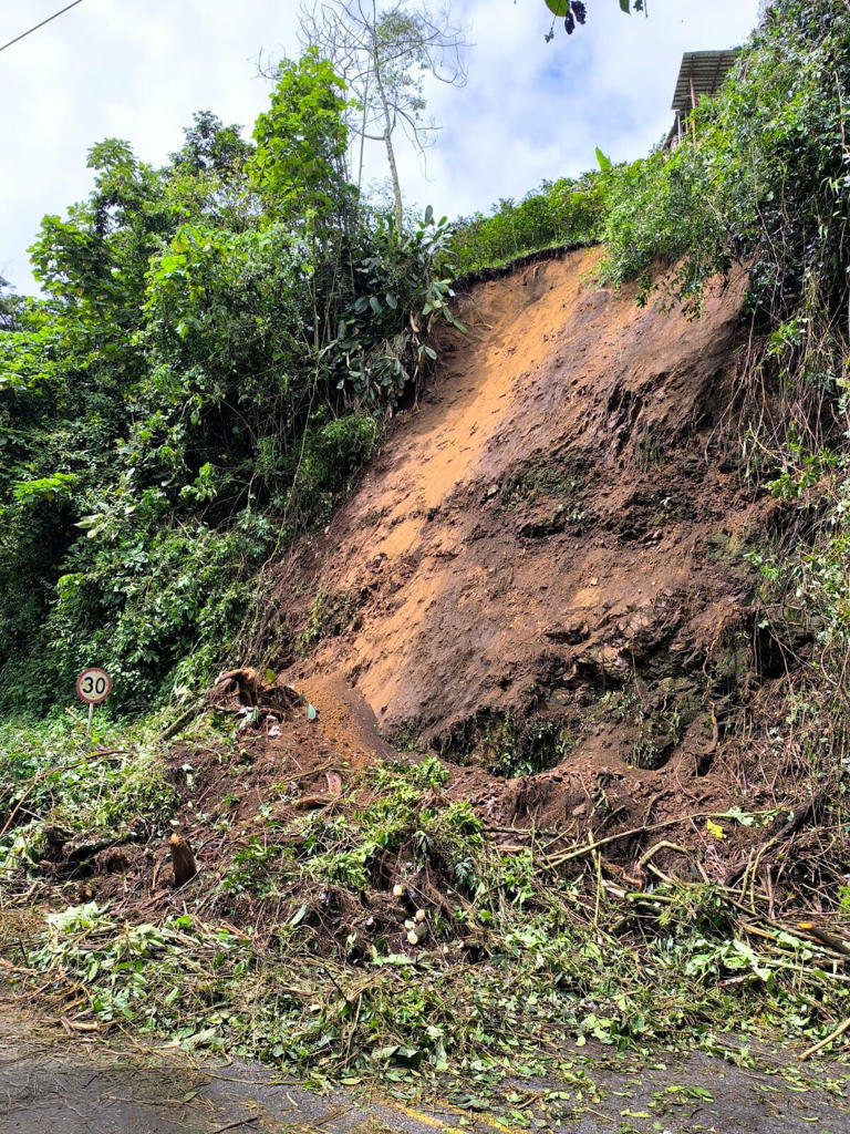 Las lluvias han provocado deslizamientos y caídas de árboles en Manizales