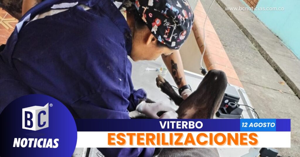 500 esterilizaciones de mascotas se realizarán en la zona rural de Viterbo