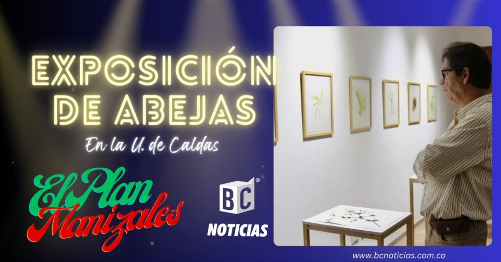 Manizales celebra la vida: Exposición sobre abejas nativas cautiva a la ciudad