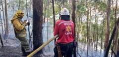 Bomberos luchan noche y día para controlar los incendios forestales
