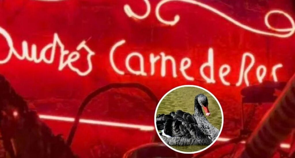 Qué es cisne negro, caso real de Andrés Carne de Res por artista quemada en Chía