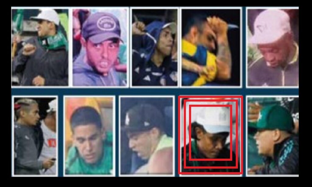 ¿Por qué quedó libre el hincha que participó en pelea en el estadio?