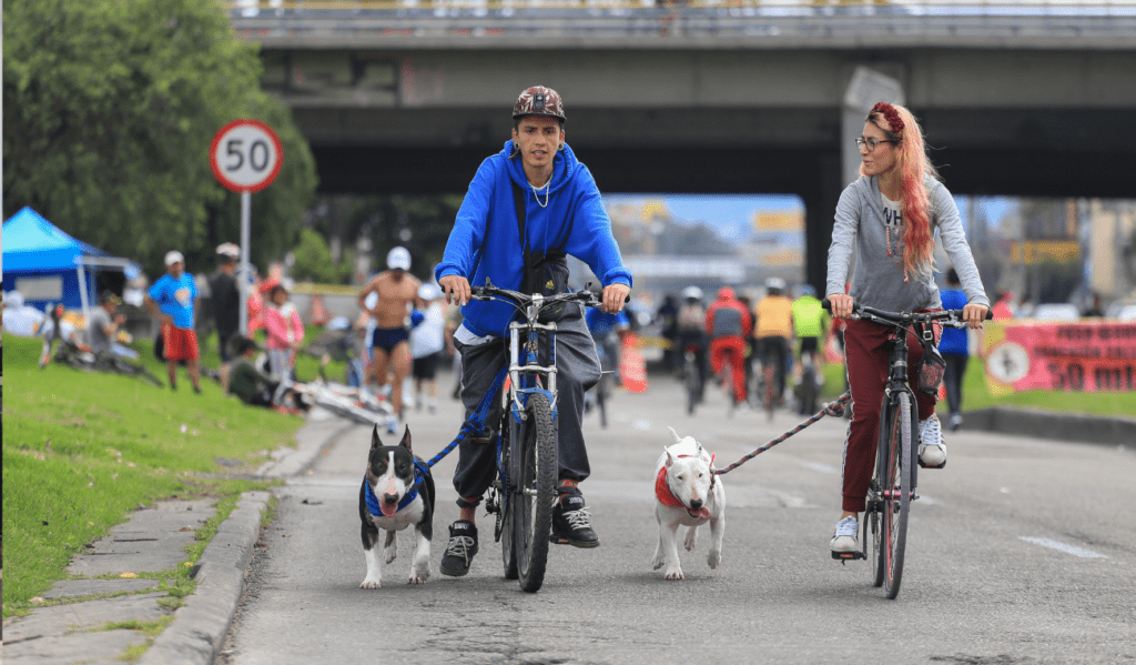 Las BICICLETAS más usadas por los bogotanos en la CICLOVÍA