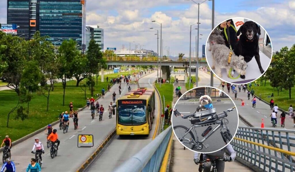 Mascotas no sufrirán en la Ciclovía de Bogotá: Distrito les arregla el pase