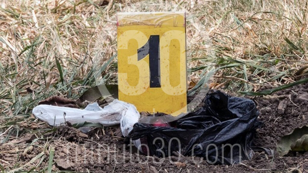 ¡Qué horror! Hallaron dos fetos de unos gemelos abandonados entre la basura