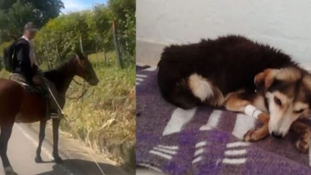 Capturan en Boyacá a hombre por arrastrar a un perro