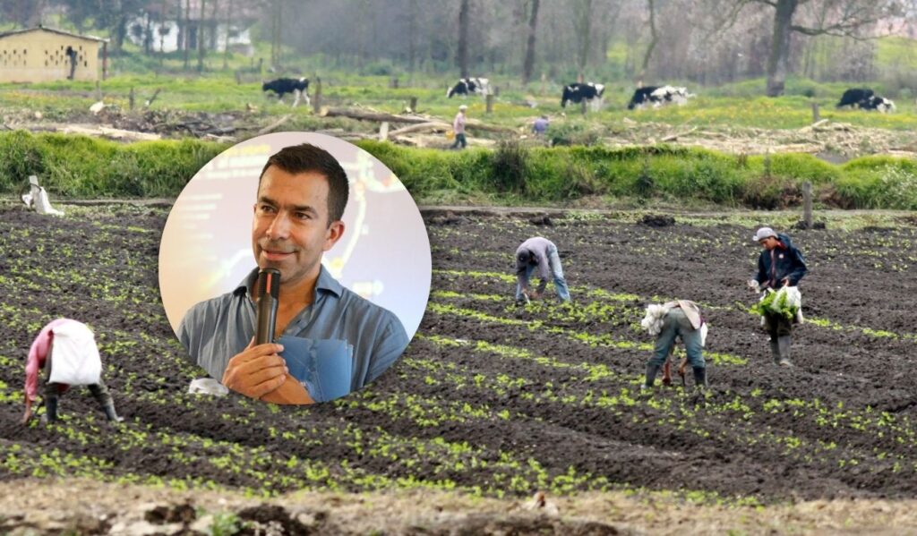 Cundinamarca se pone del lado de campesinos: producción agrícola crecerá