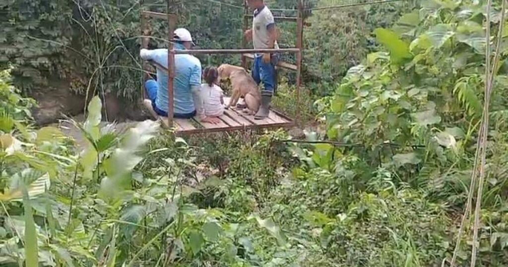 Noticias Antioquia: Buscan niño indígena que cayó a quebrada en Dabeiba