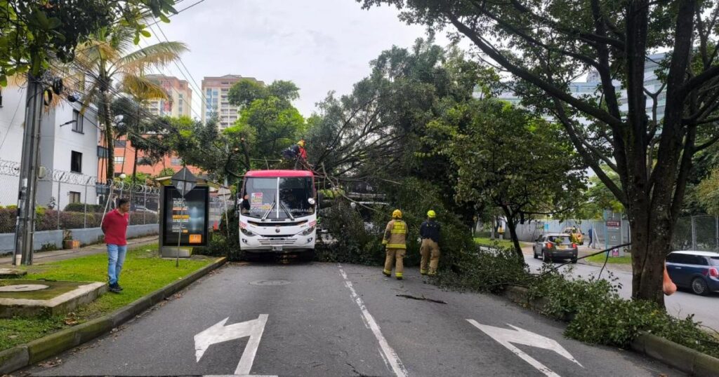 Noticias Medellín: Gigantesco árbol cayó sobre un bus