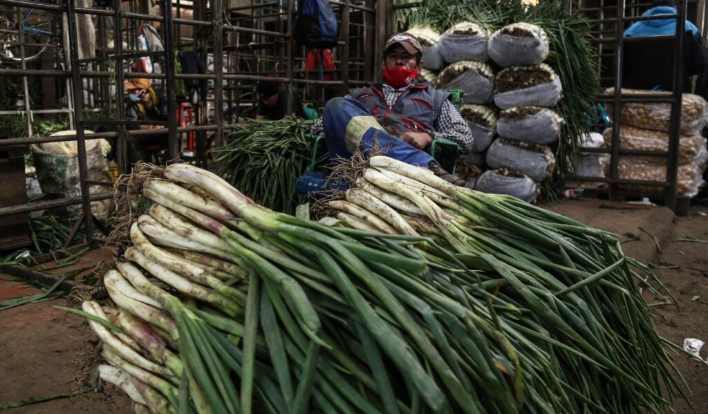 Precios en Corabastos este 28 de octubre, 2025: alimentos que bajaron HOY