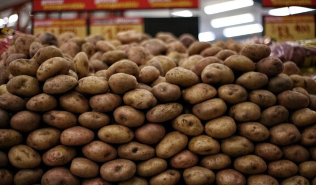 Precios en Corabastos este 8 de octubre 2025: alimentos que más bajaron HOY