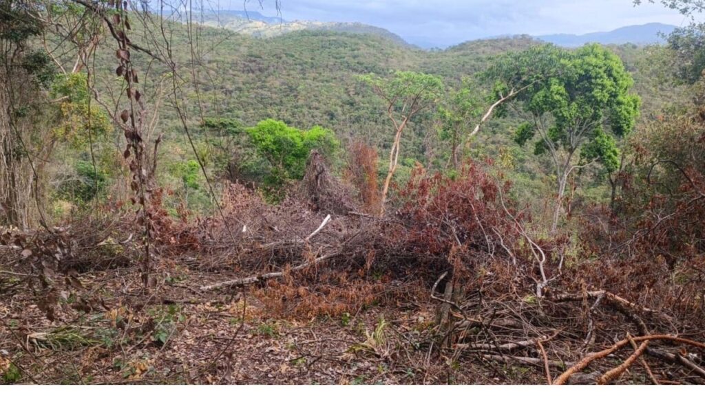 ¡Defensa del Sumapaz! Capturan a responsables de devastación ambiental