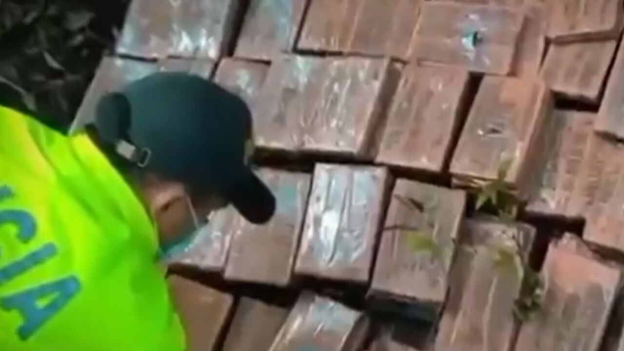 ¡Golpe histórico al narcotráfico! Autoridades destruyen 49 laboratorios y decomisan 1,6 toneladas de cocaína